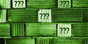 Das Foto zeigt Steinplatten, die von Grünbelag befallen sind