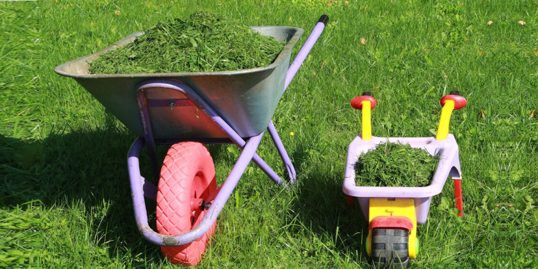 Das Foto zeigt zwei Schubkarren voll mit Gras, die in einer Wiese stehen
