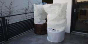 Das Foto zeigt Bambuspflanzen mit einem optimalen Winterschutz auf dem Balkon