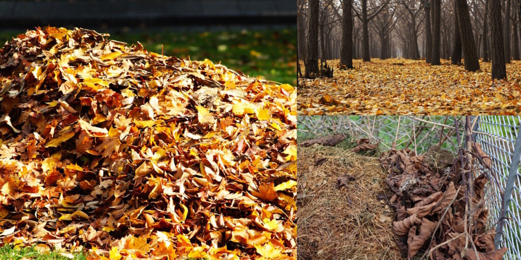 Das Foto zeigt Falllaub im Wald, auf dem Gartenboden und im Kompost