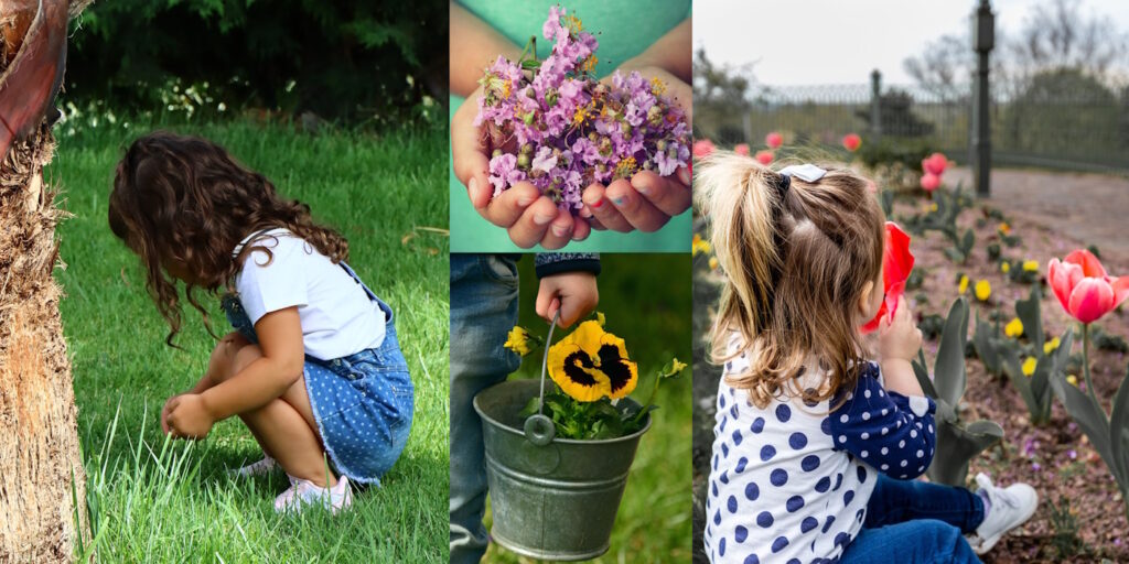 Das Foto zeigt Kinder, die mit Pflanzen spielen