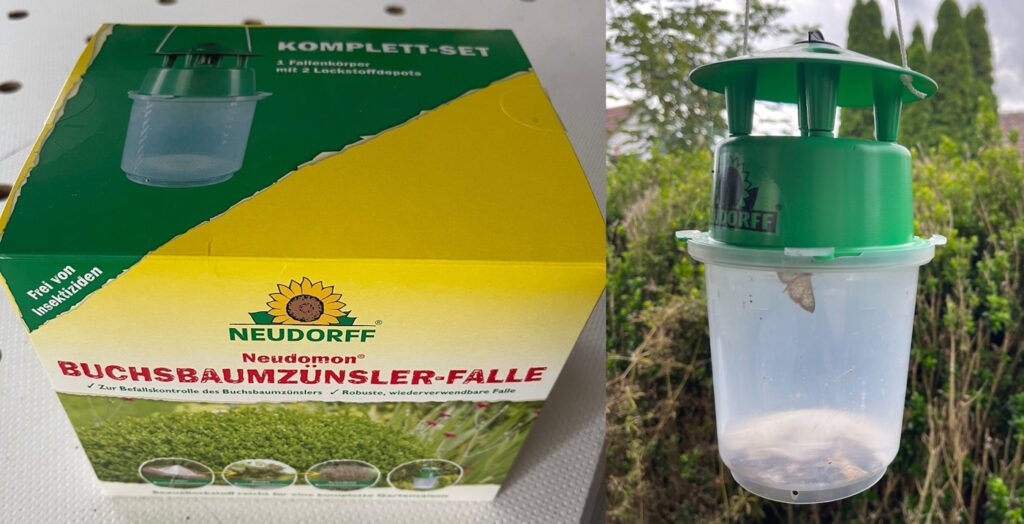Das Foto zeigt eine Buchsbaumzünslerfalle