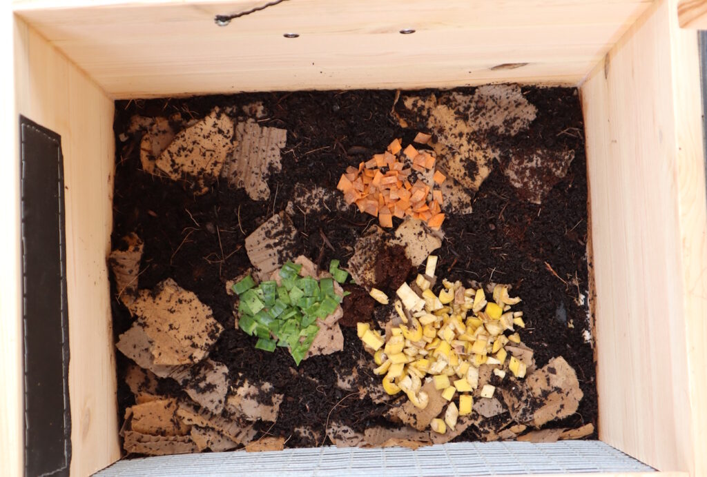 Das Foto zeigt, wie Lebensmittel in der Wurmkiste als Häufchen gefüttert wurden