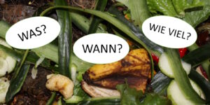Das Foto zeigt Bioabfall in einer Wurmkiste