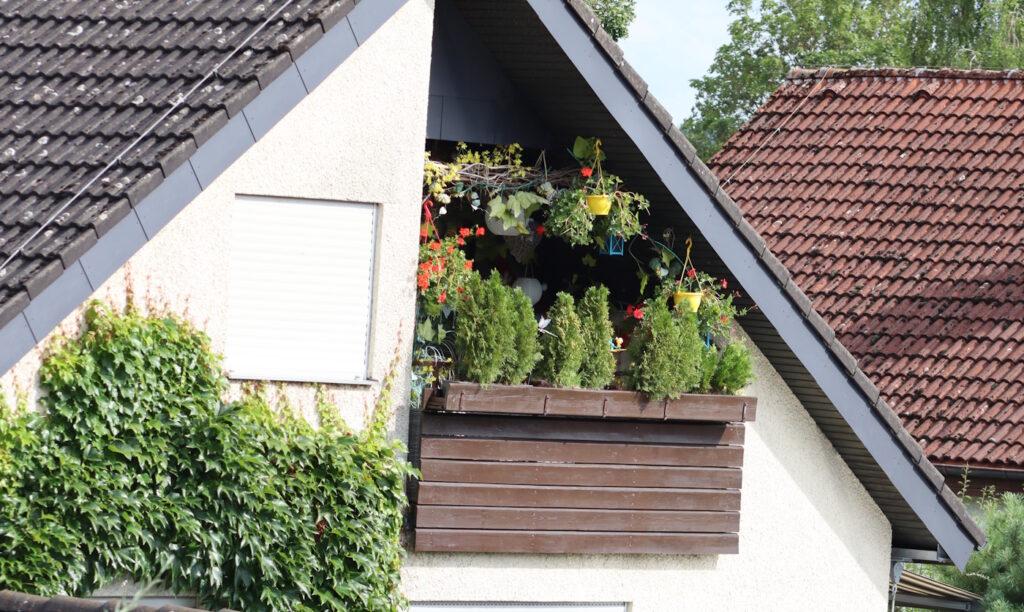 Das Foto zeigt einen Balkon, auf dem Büsche platziert sind