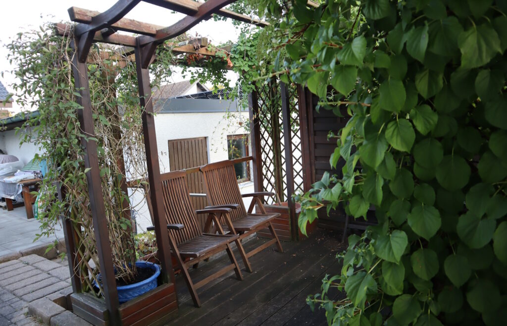 Das Foto zeigt ein Rankgitter an einer Pergola