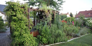 Das Foto zeigt eine begrünte Pergola