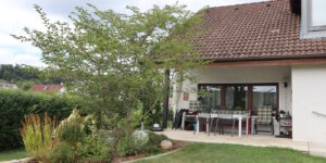 Das Foto zeigt eine Terrasse mit einem Baum im Vordergrund