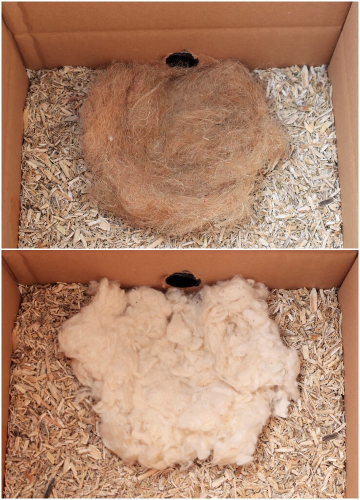 Das Foto zeigt Baumwolle und Jute als Nistmaterial