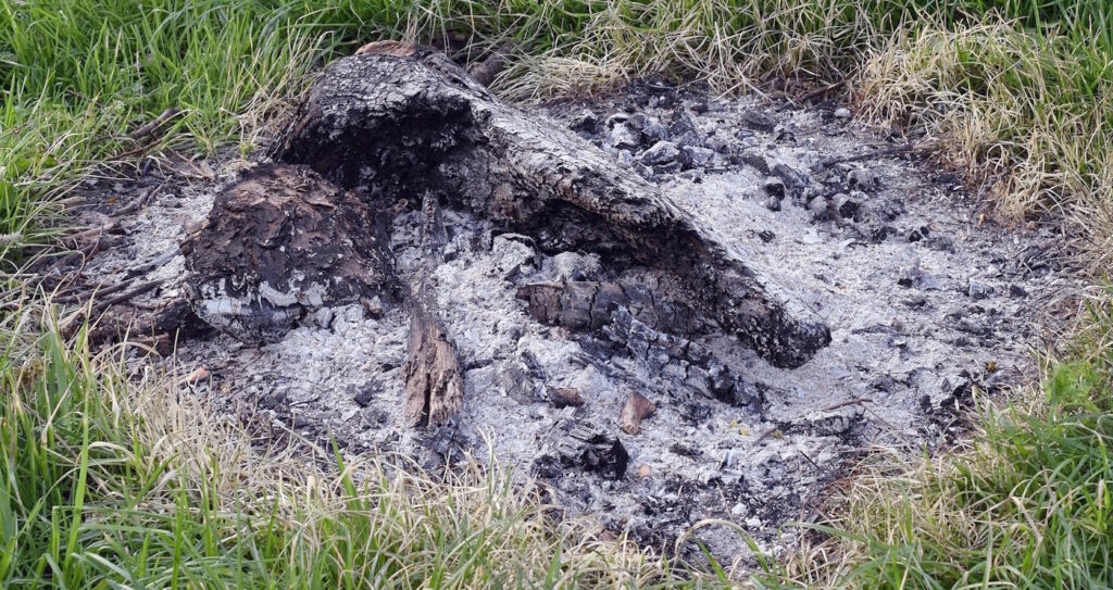 Das Foto zeigt Holzasche