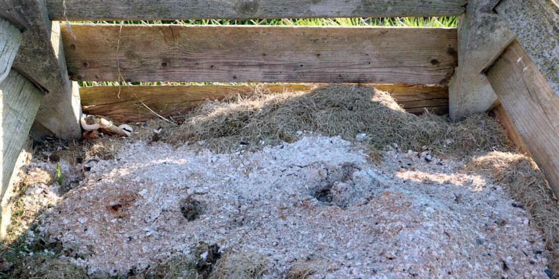 Das Foto zeigt einen Komposthaufen auf dem Holzasche liegt