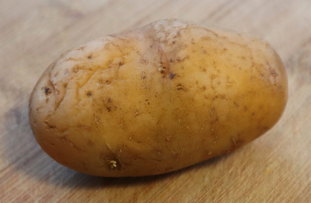 Das Foto zeigt eine ungekochte Kartoffel