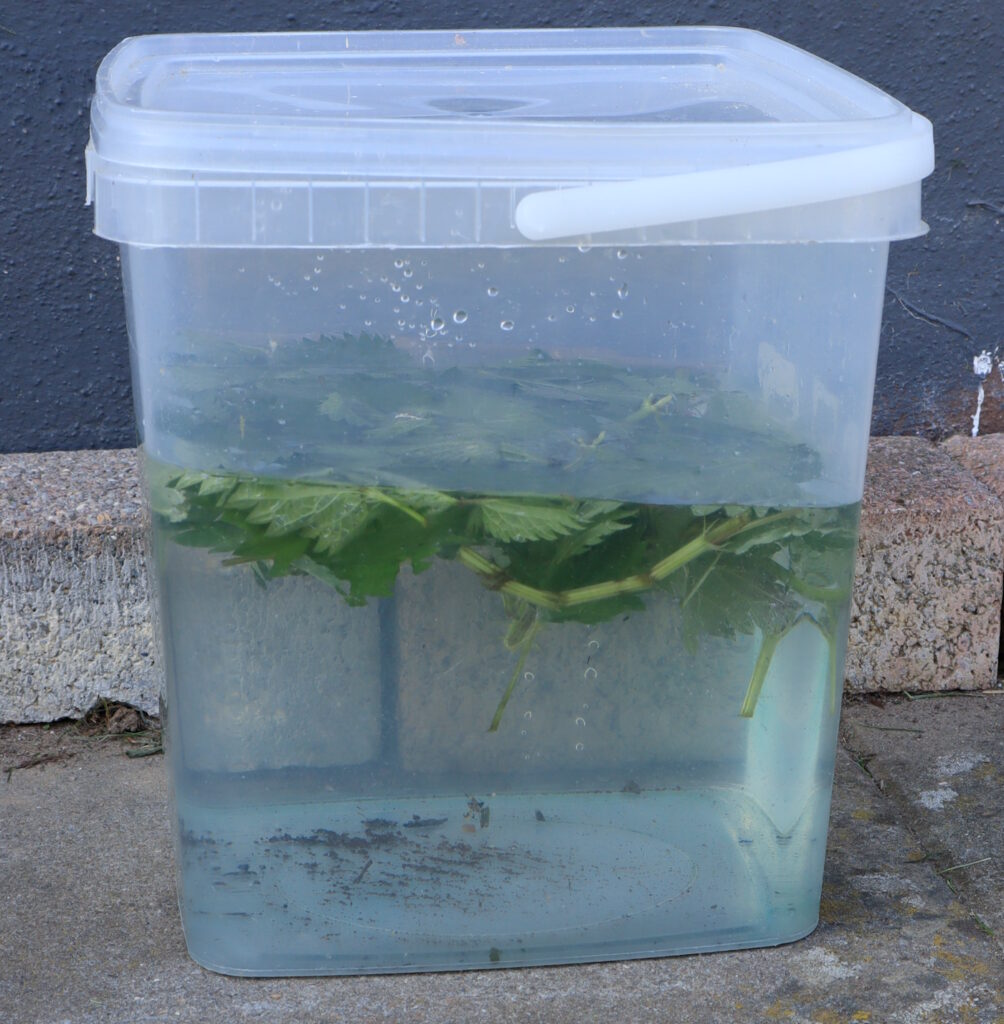 Das Foto zeigt einen geschlossenen Plastikeimer, in dem sich Brennnesseln und Wasser befinden