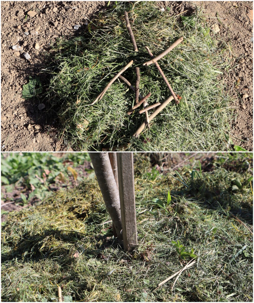 Das Foto zeigt Grasschnitt mit Ästchen vermengt und Grasschnitt unter einem Baumstamm verteilt