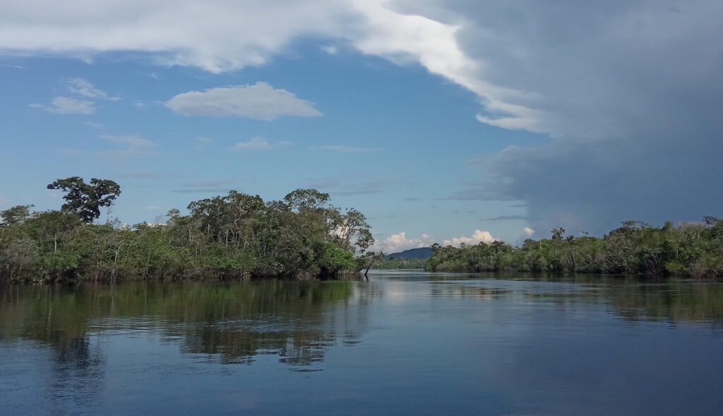Das Foto zeigt den Fluss "Amazonas" und Bäume drum herum