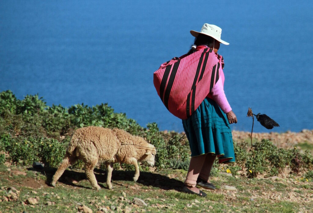 Das Foto zeigt eine Indigene Frau aus Peru und ein Schaf