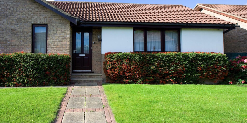 Das Foto zeigt einen Rasen vor einem Haus