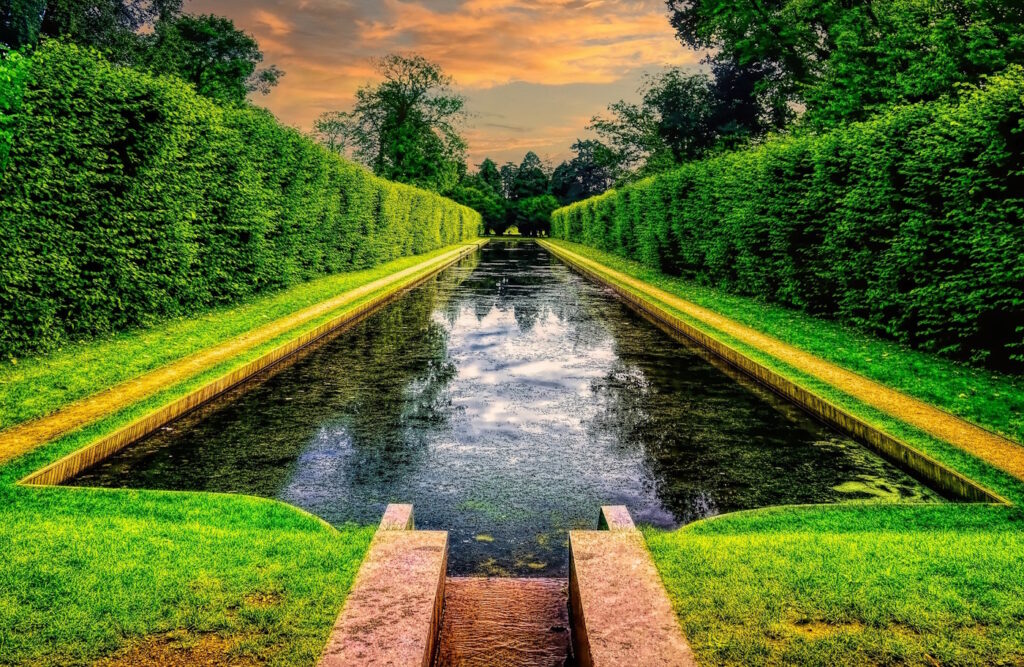 Das Foto zeigt eine Hecke um einen Teich herum