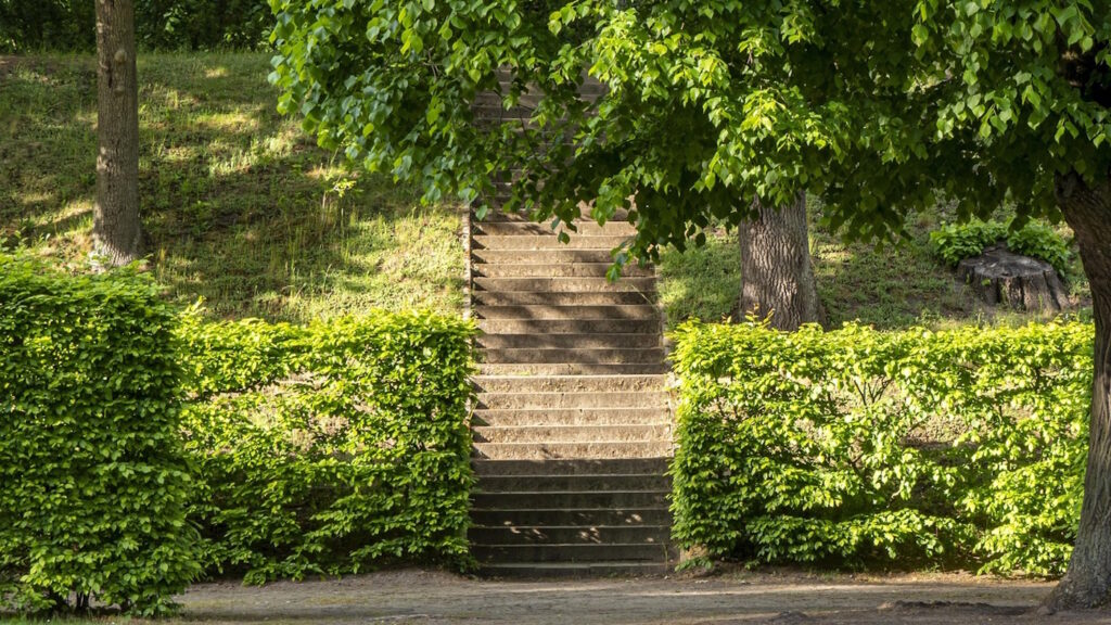Das Foto zeigt Treppenstufen in einem Garten