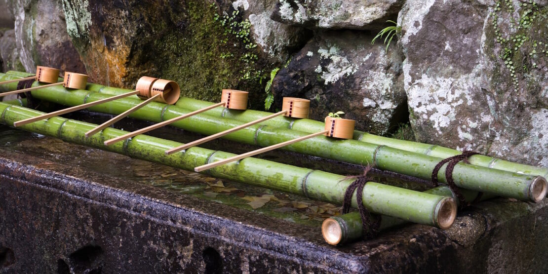 Das Foto zeigt Bambusrohre auf Wasser