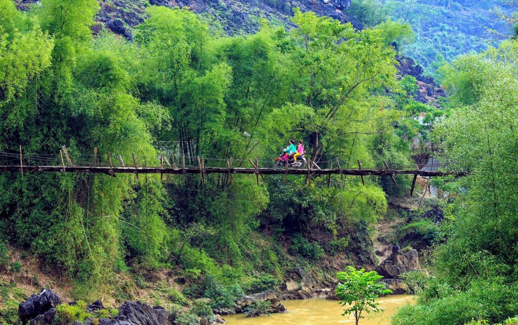 Das Foto zeigt eine Bambusbrücke