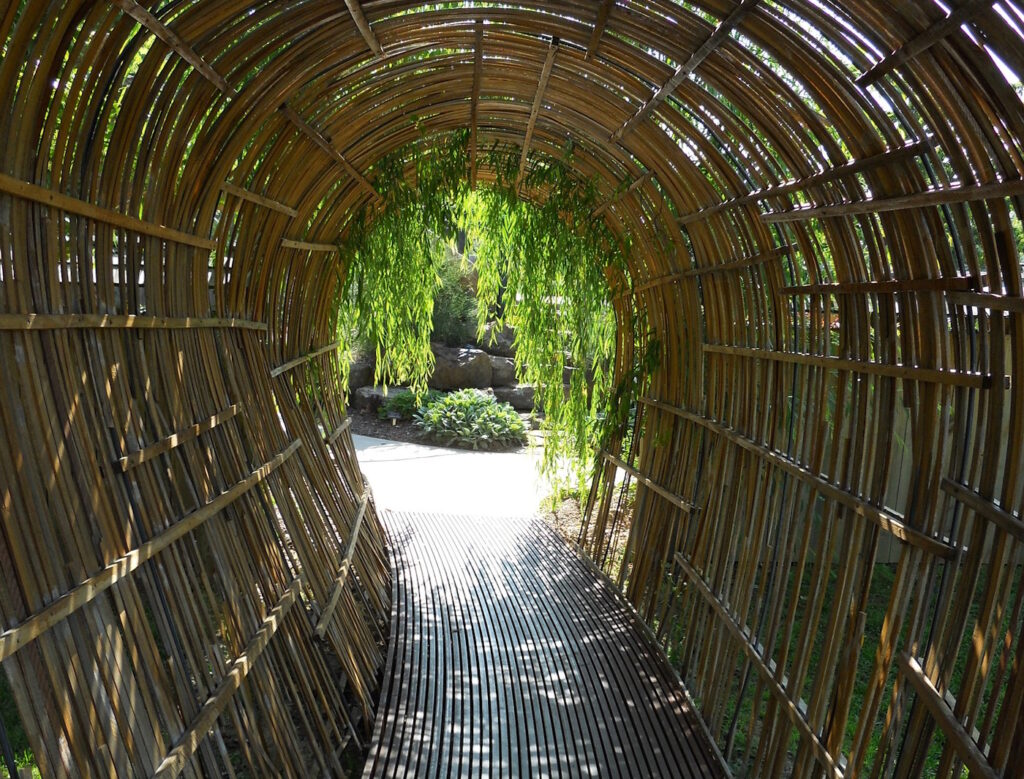 Das Foto zeigt einen Bogen aus Bambus