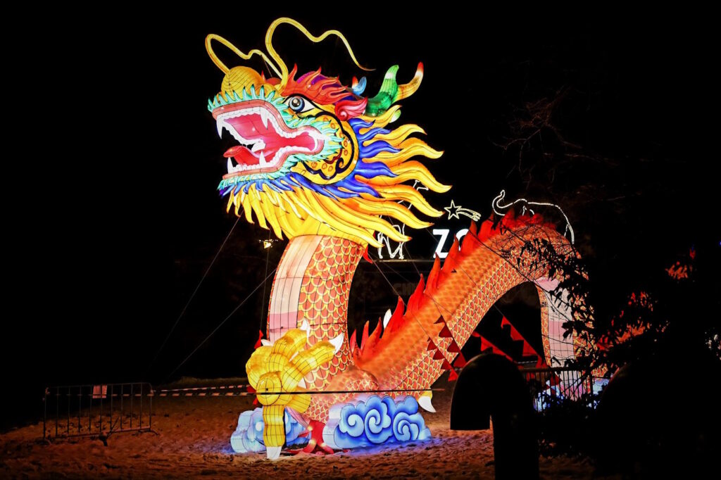 Das Foto zeigt einen großen Drachen der bunt beleuchtet ist