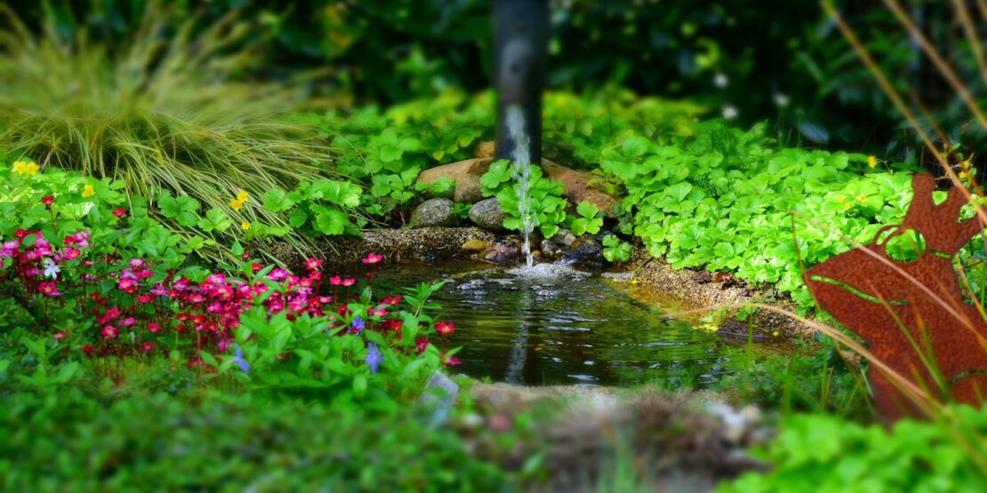 Das Foto zeigt einen kleinen Bachlauf in Mitten grüner Pflanzen