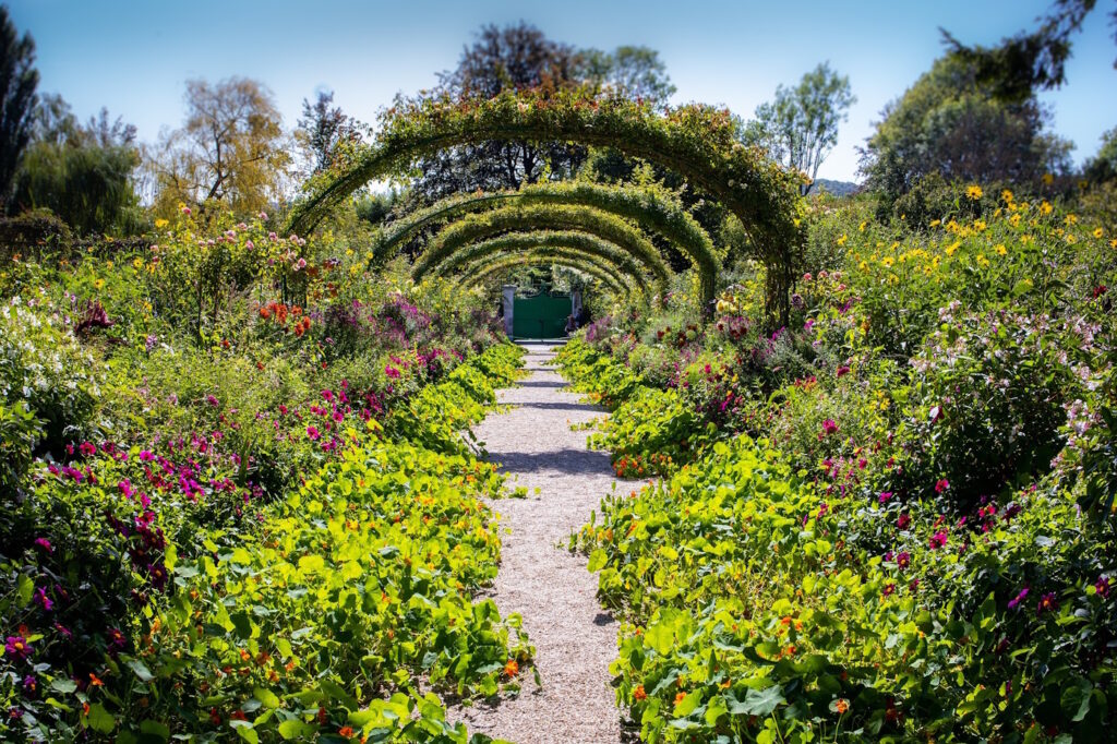 Das Foto zeigt ein Gartenbild nach Monet
