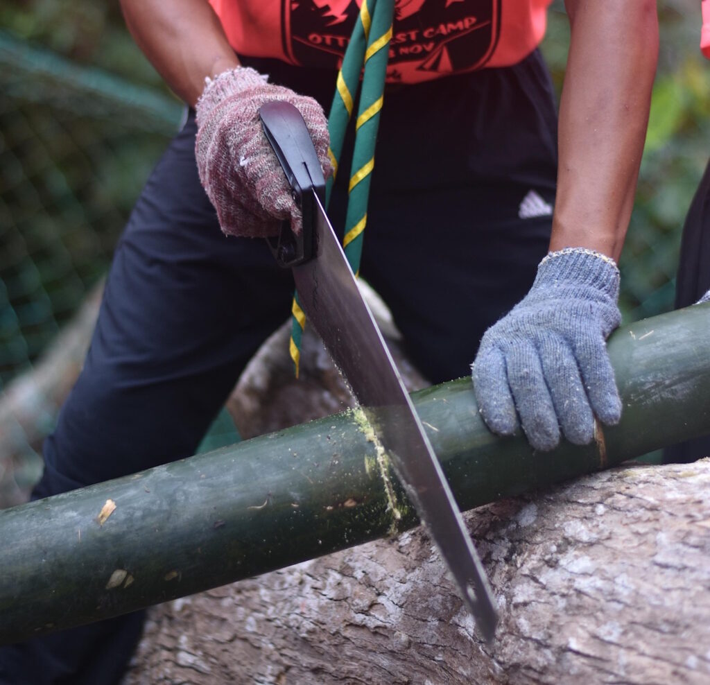 Das Foto zeigt wie eine Person ein Bambusrohr mit einer Säge absägt