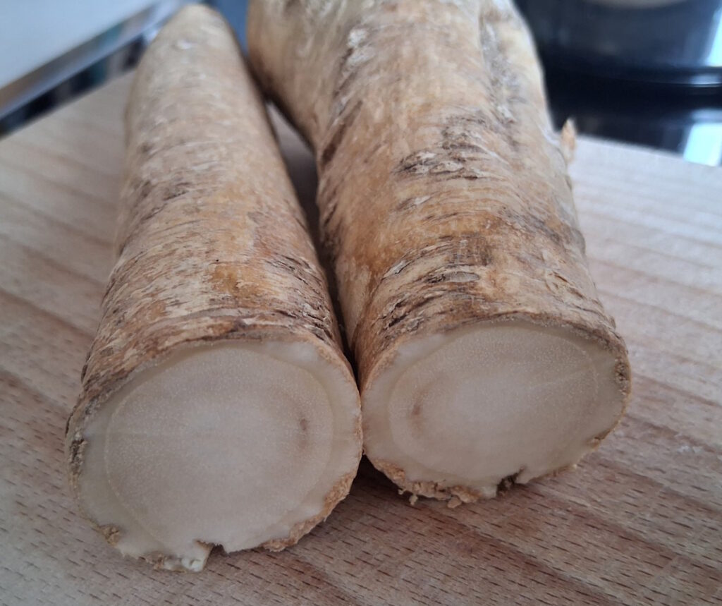 Das Foto zeigt eine halbierte Meerettichwurzel