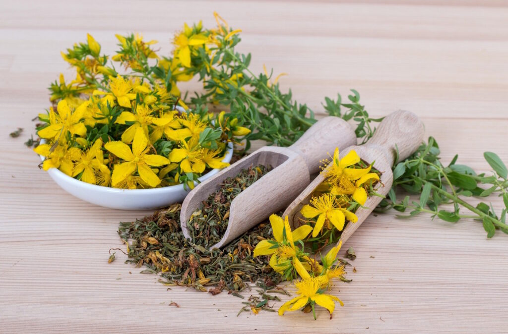 Das Foto zeigt die Blüten vom Johanniskraut