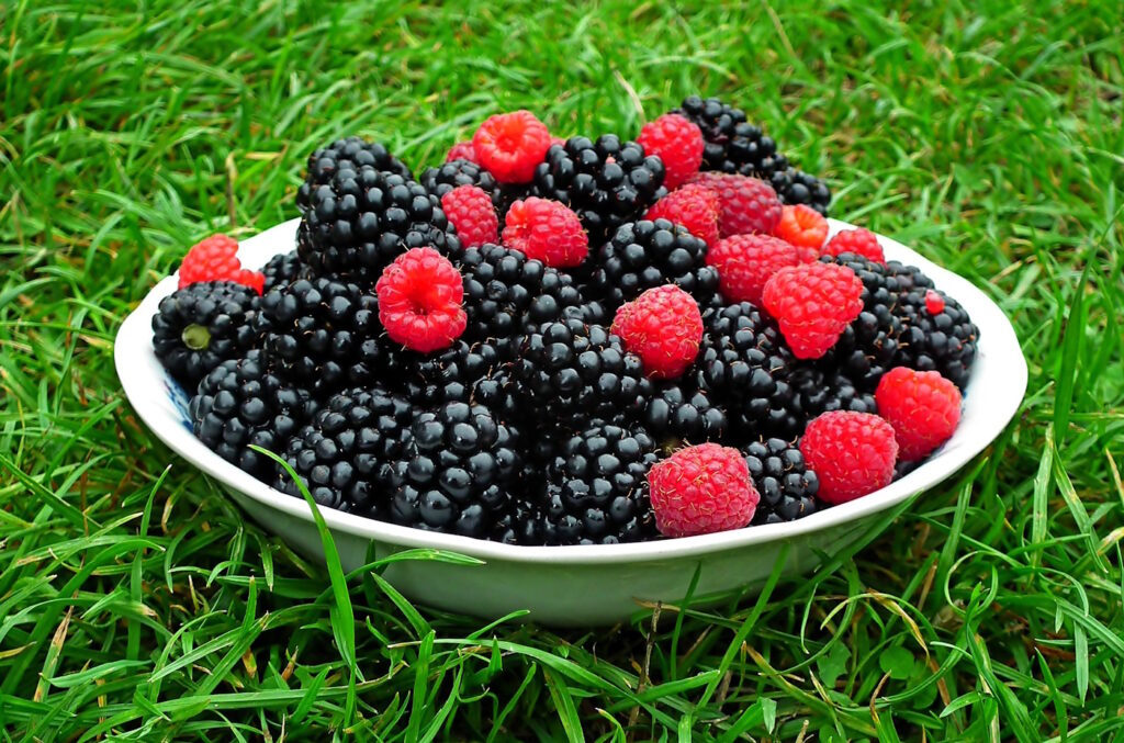 Das Foto zeigt Himbeeren und Brombeeren in einer Schale