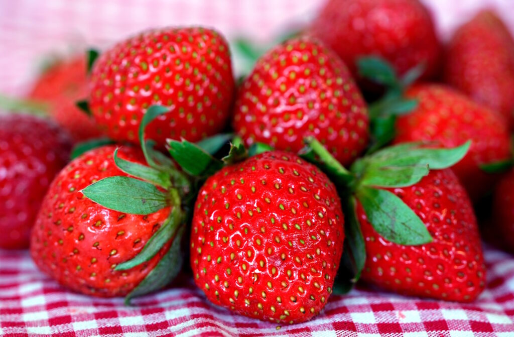 Das Foto zeigt Erdbeeren
